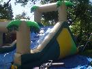 Water Slide with Trees