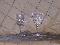 Specialty Wine Glasses